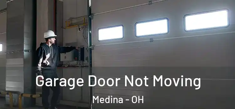  Garage Door Not Moving Medina - OH
