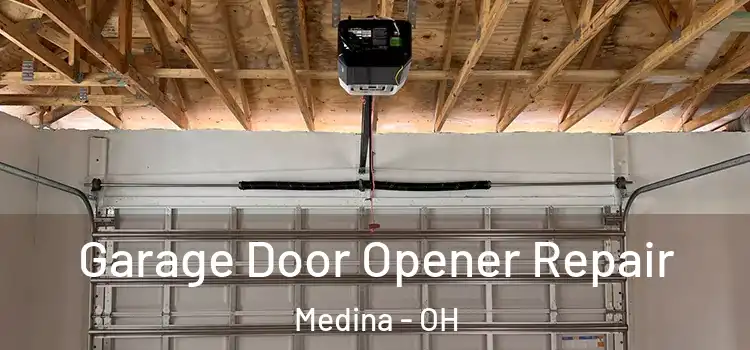  Garage Door Opener Repair Medina - OH
