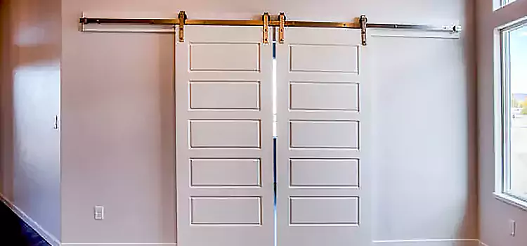 Glass Barn Door with Installation Hardware Kit Medina